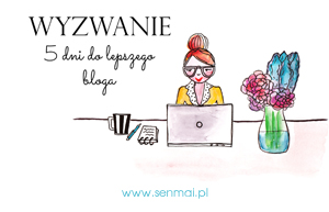 Wyzwanie-blogowe_baner_300